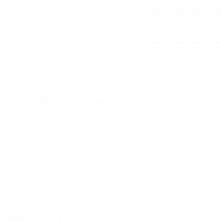 SCREENGroup_Hyundai_Logo_w