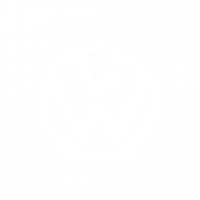 SCREENGroup_Volkswagen_Logo_w